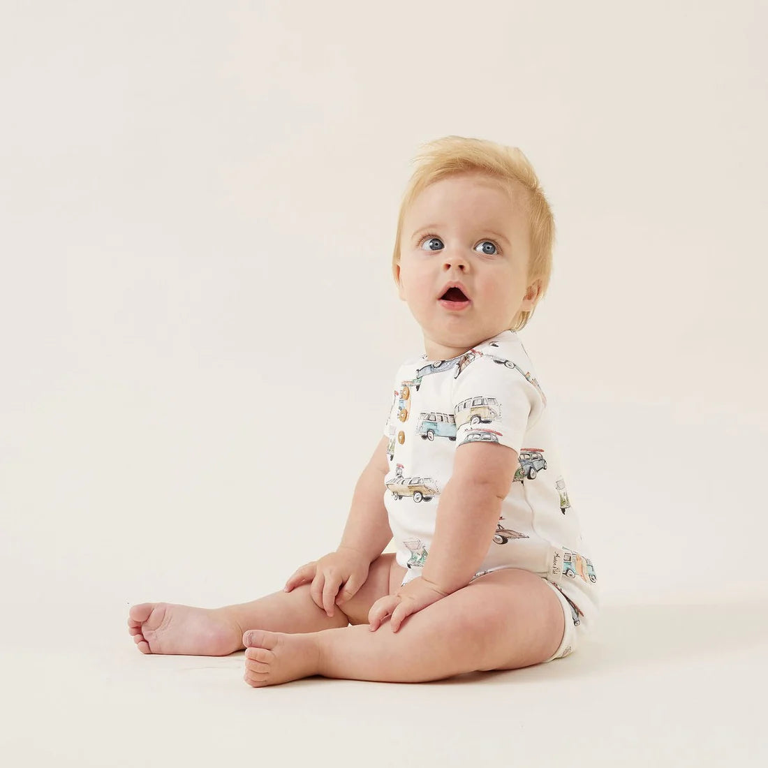 Swallow Print Onsie