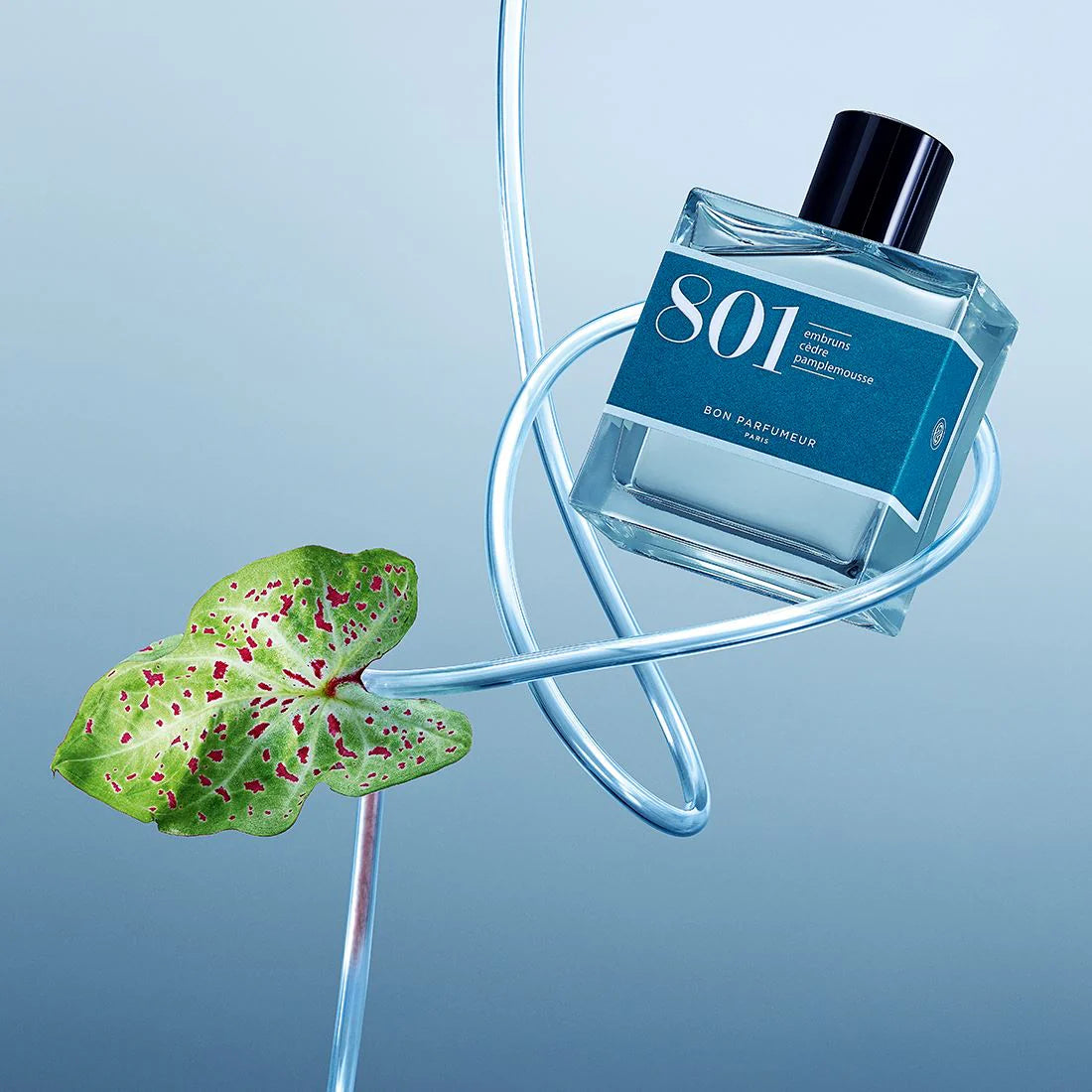 Eau de Parfum 801