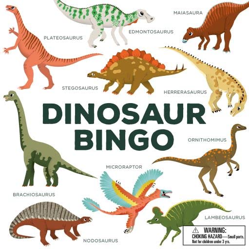 Dinosaur Bingo fun childrens game to play learning about all the dinosaurs