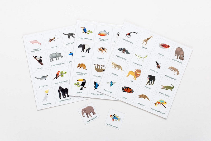 Bingo fun for all the family - jungle bingo