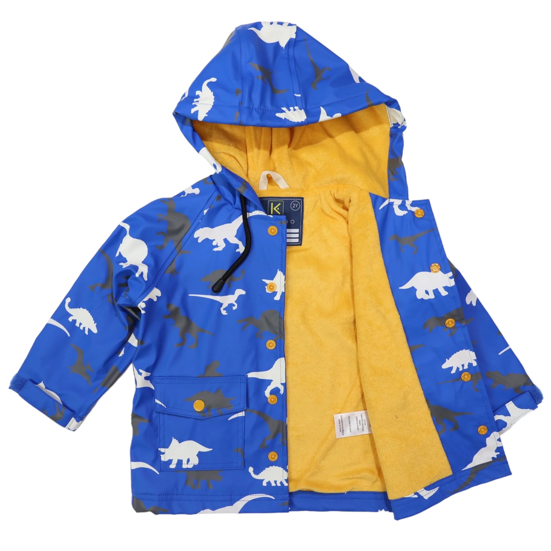 Raincoat Dinosaur