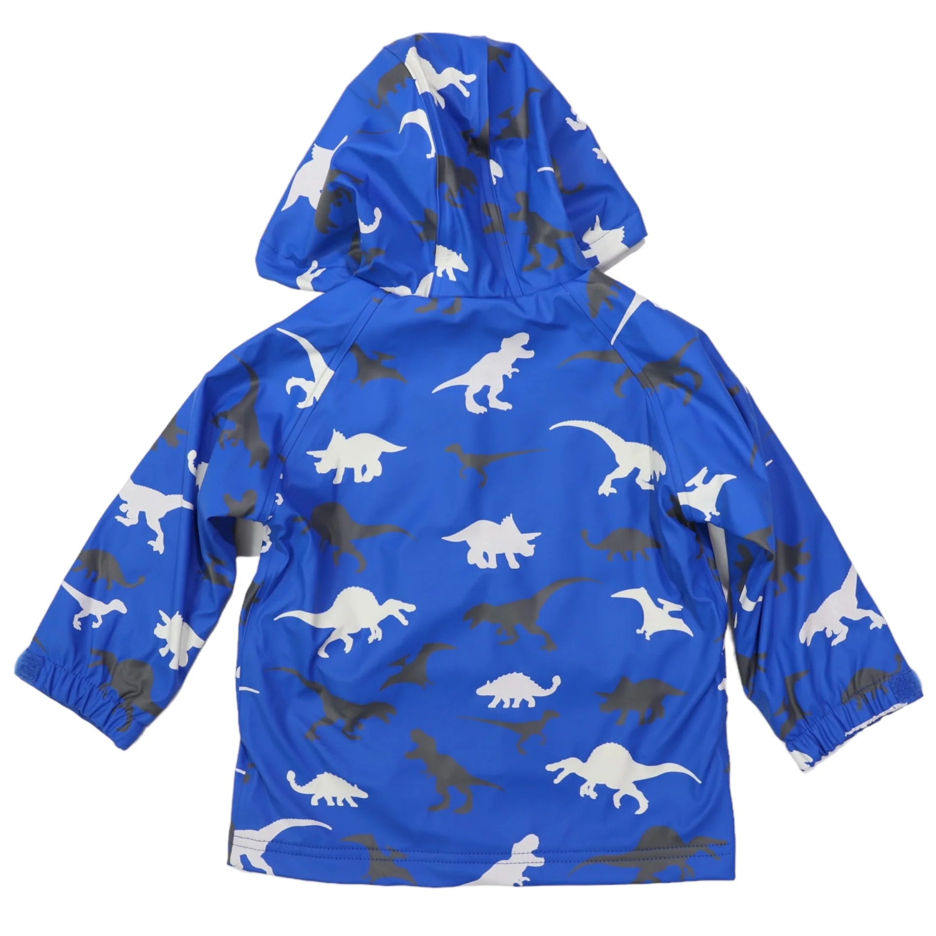 Raincoat Dinosaur