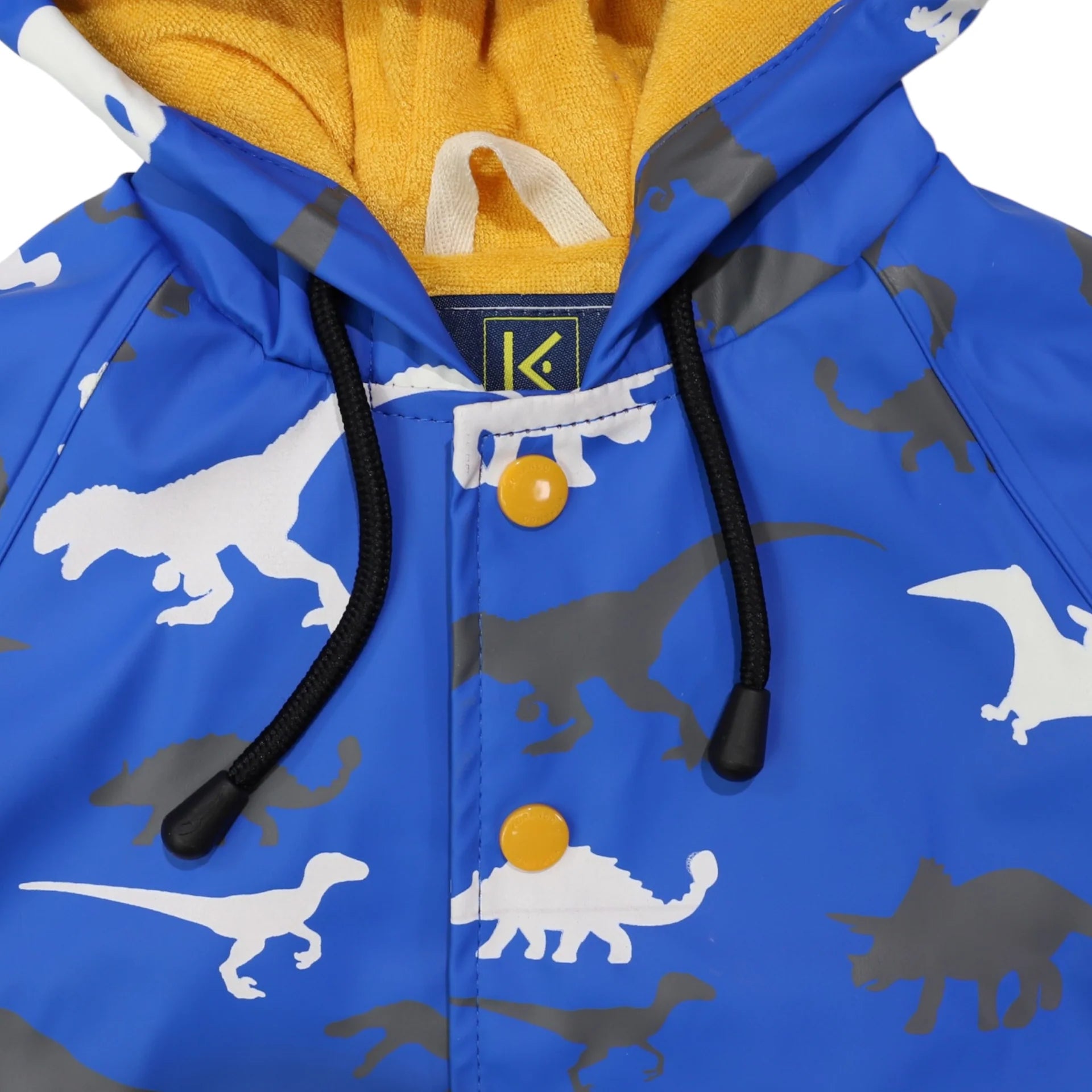 Raincoat Dinosaur