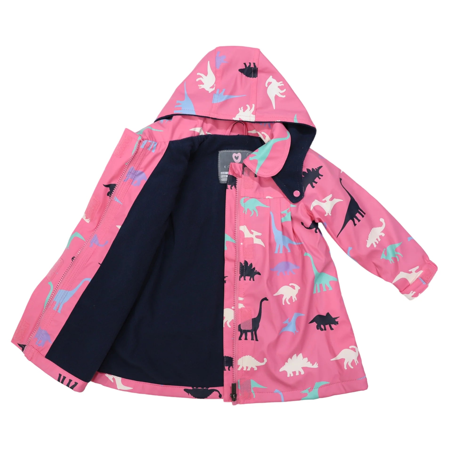 Raincoat Dinosaur