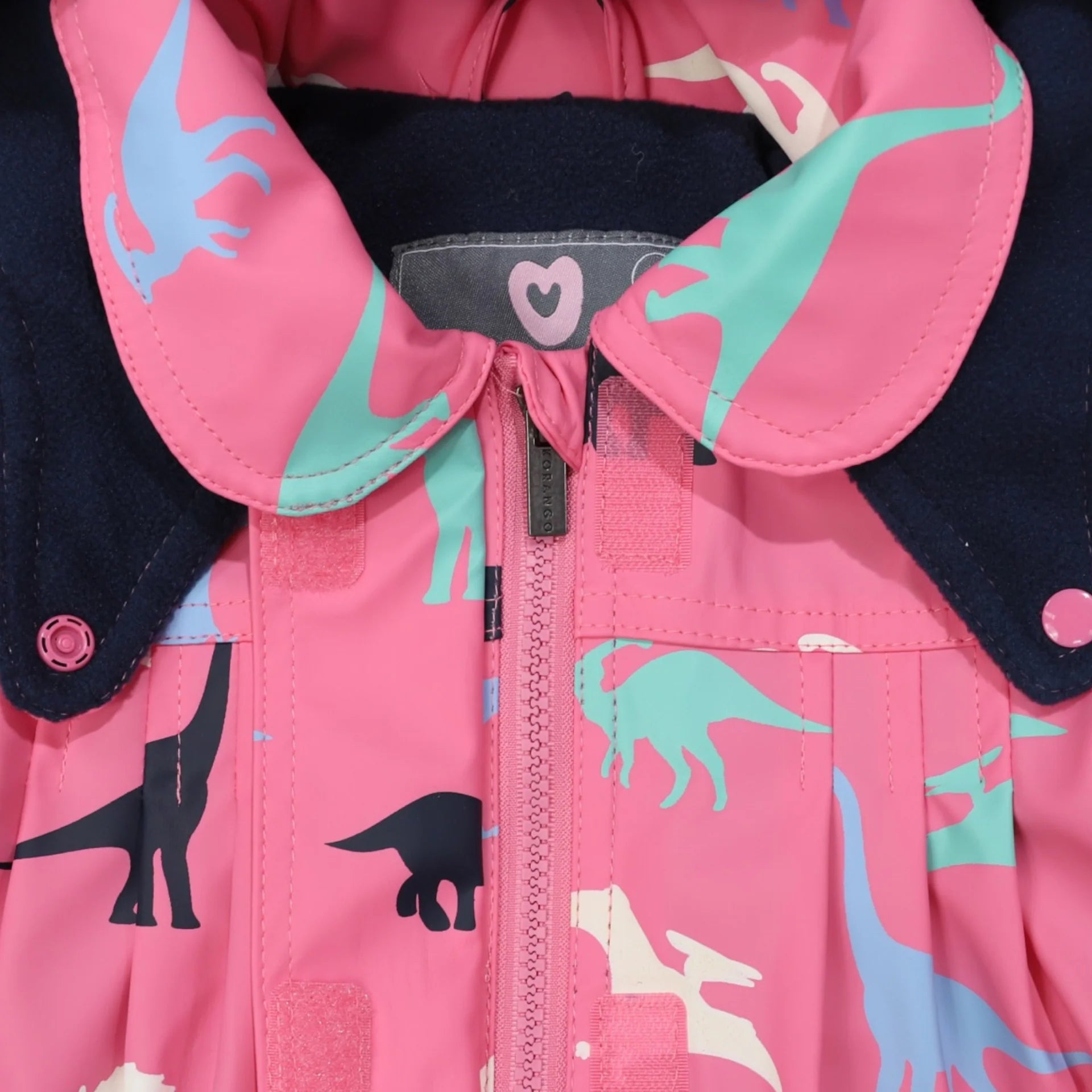 Raincoat Dinosaur