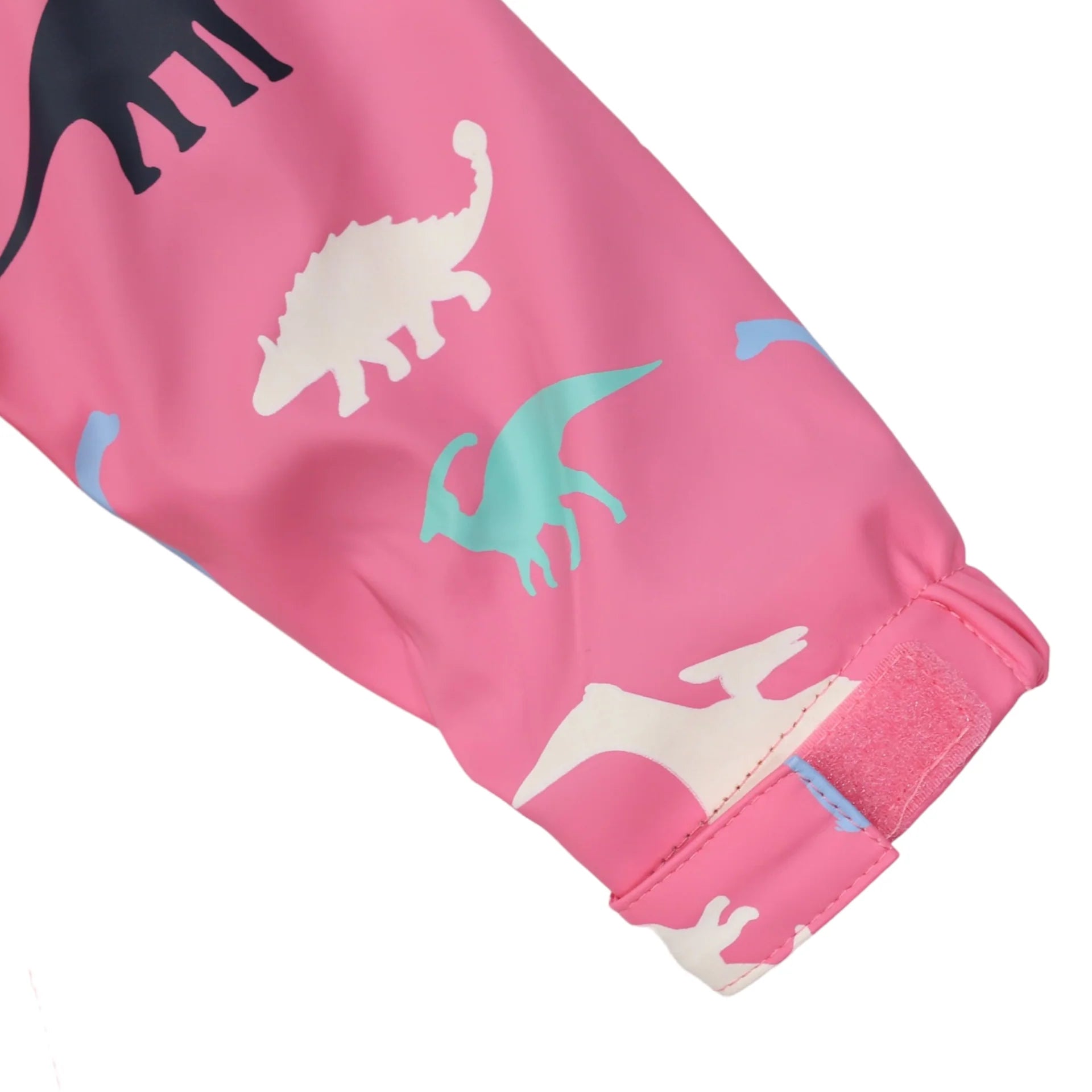 Raincoat Dinosaur