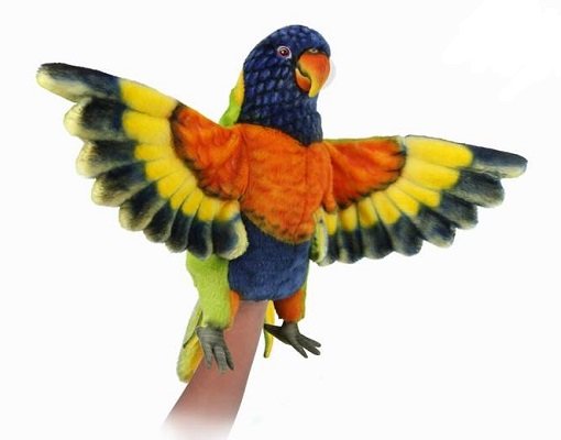 Puppet Rainbow Lorikeet