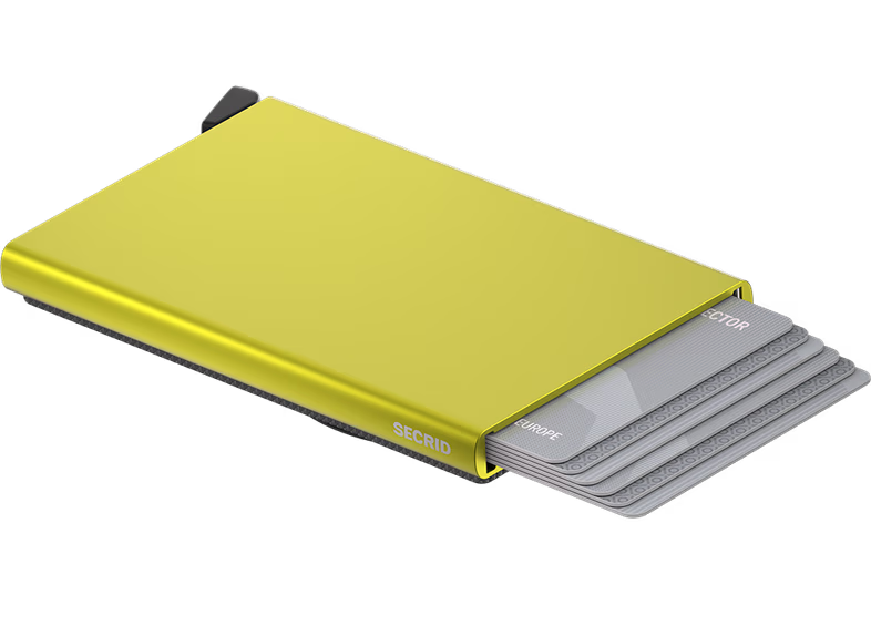 Magsafe Card Protector