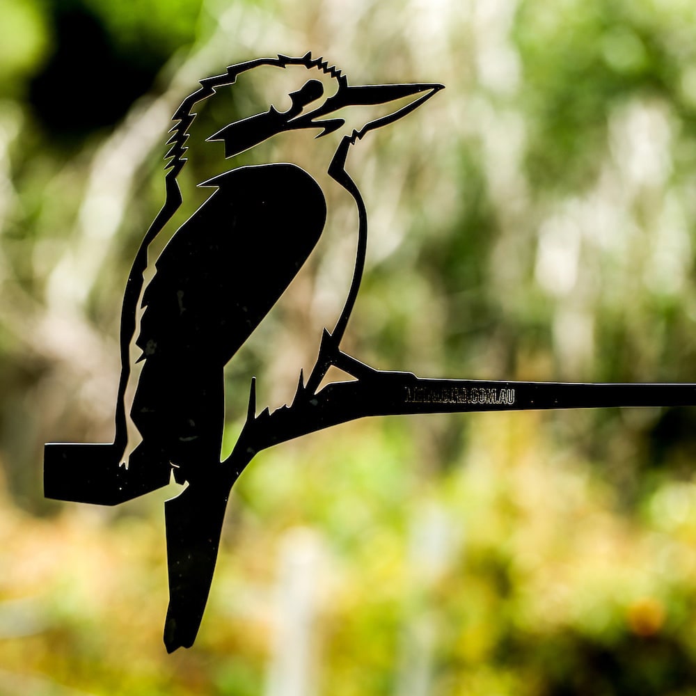 Kookaburra Regular