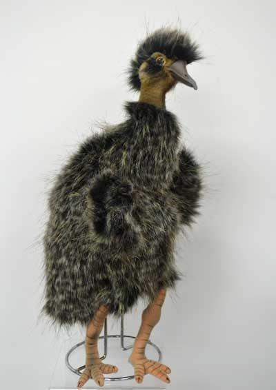 Hansa hand puppets, so real to life.  Emu
